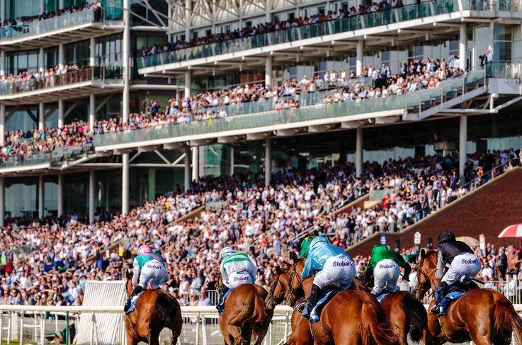horse betting